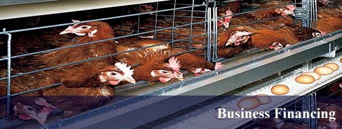 Business Financing